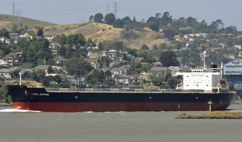 CORAL SAPPHIRE Bulk Carrier IMO 9343302 photo 5