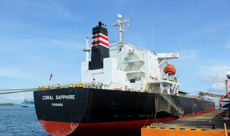 CORAL SAPPHIRE Bulk Carrier IMO 9343302 photo 7
