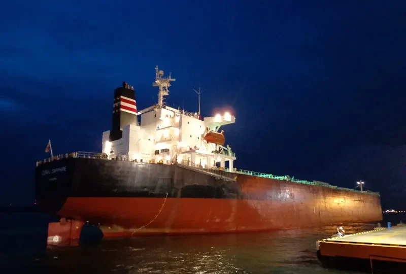 CORAL SAPPHIRE Bulk Carrier IMO 9343302 photo 8