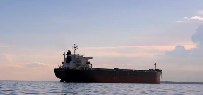 CORAL SAPPHIRE Bulk Carrier IMO 9343302 photo 9