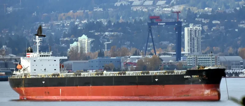 CORAL TOPAZ Bulk Carrier IMO 9343314 photo 2