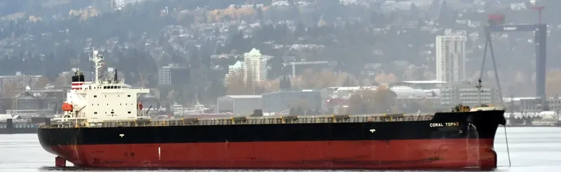 CORAL TOPAZ Bulk Carrier IMO 9343314 photo 3