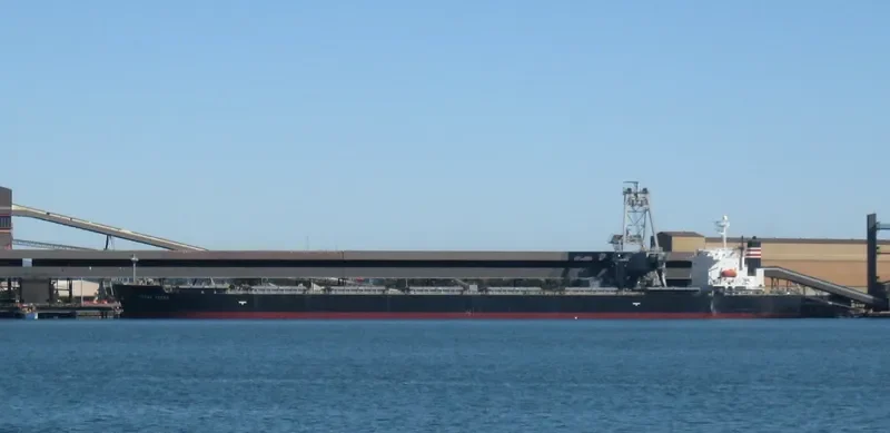 CORAL TOPAZ Bulk Carrier IMO 9343314 photo 6