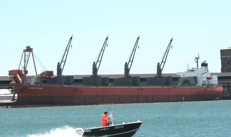 CORAL TOPAZ Bulk Carrier IMO 9343314 photo 8