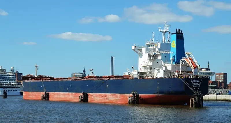 BETTYS PERFECTION Bulk Carrier IMO 9343326 photo 3