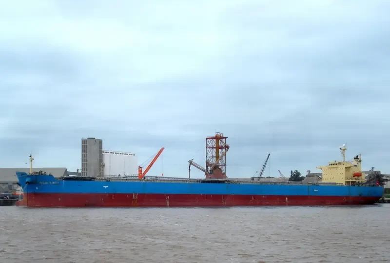BETTYS PERFECTION Bulk Carrier IMO 9343326 photo 5
