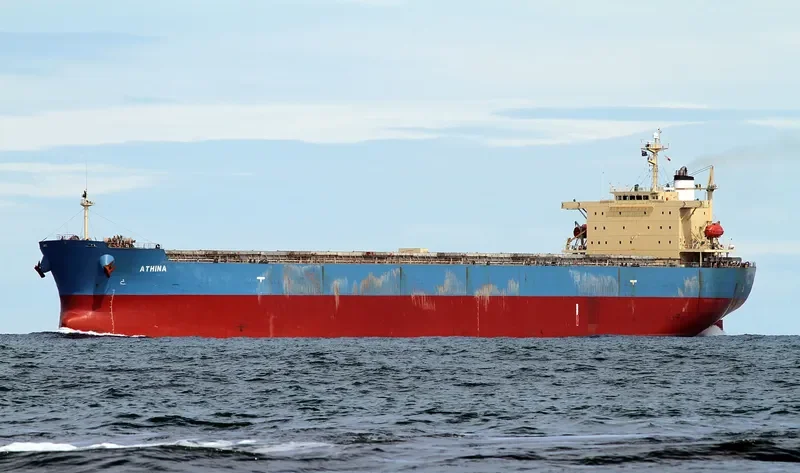 BETTYS PERFECTION Bulk Carrier IMO 9343326 photo 8