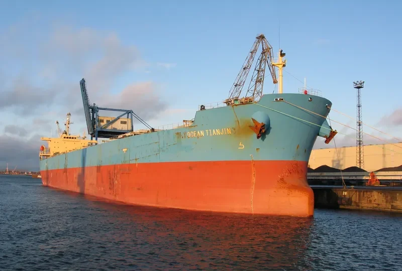 BETTYS PERFECTION Bulk Carrier IMO 9343326 photo 10
