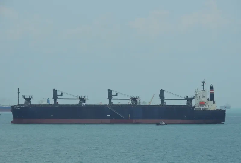 UNI LUCKY Bulk Carrier IMO 9343431 photo 8