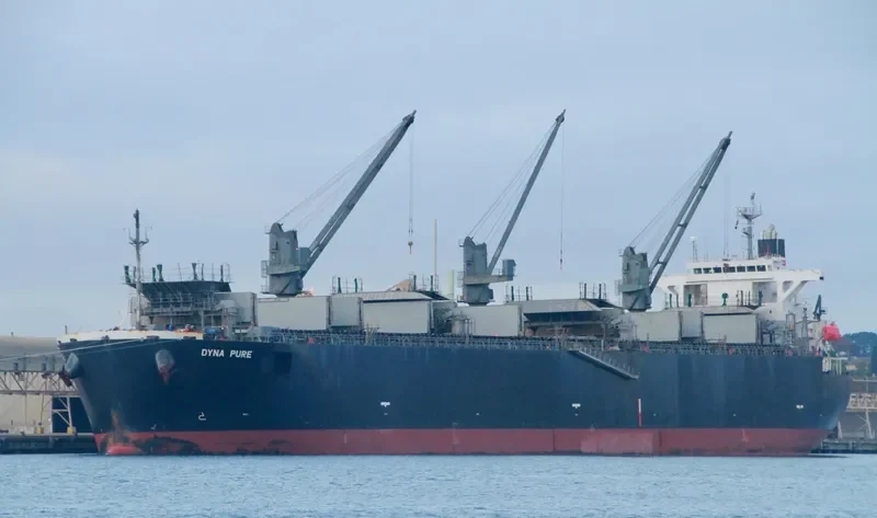 UNI LUCKY Bulk Carrier IMO 9343431 photo 9