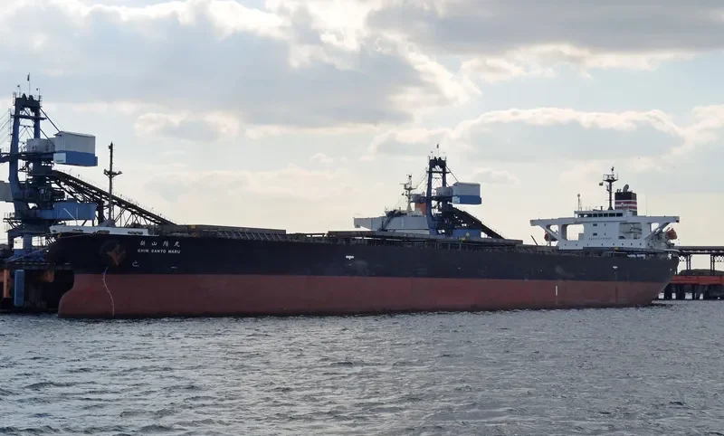 SHIN SANYO MARU Bulk Carrier IMO 9343508 photo 3