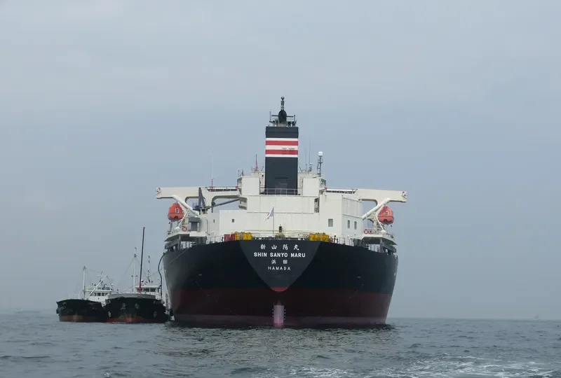 SHIN SANYO MARU Bulk Carrier IMO 9343508 photo 6