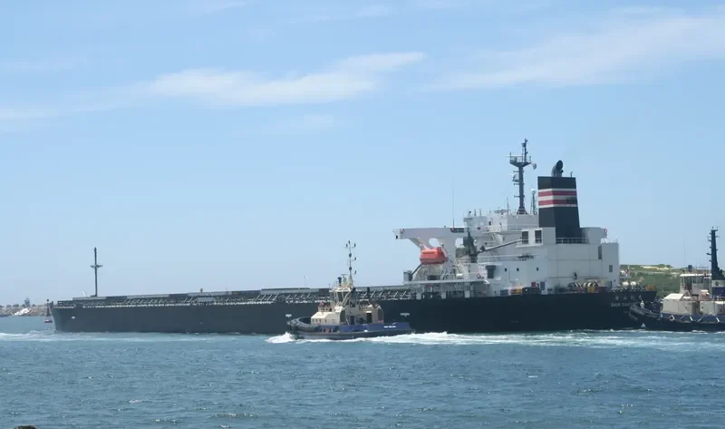 SHIN SANYO MARU Bulk Carrier IMO 9343508 photo 8