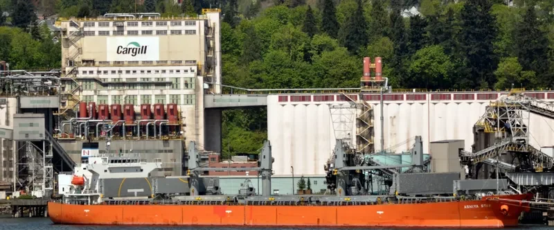 ASHIYA STAR General Cargo IMO 9343522 photo 9