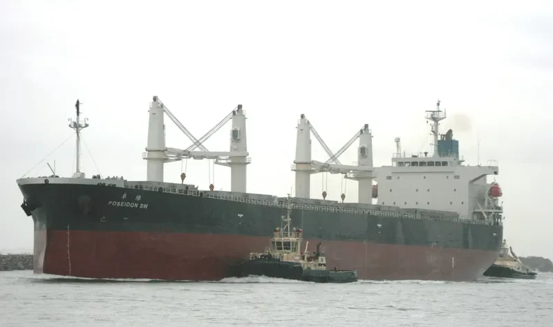 CAPTAINYANNIS L Bulk Carrier IMO 9343546 photo 10