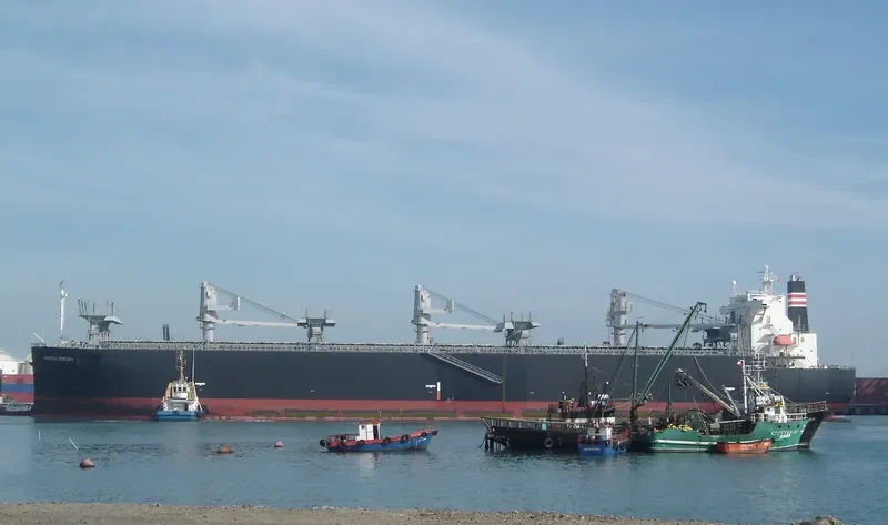 HOKUETSU CENTURY Bulk Carrier IMO 9343560