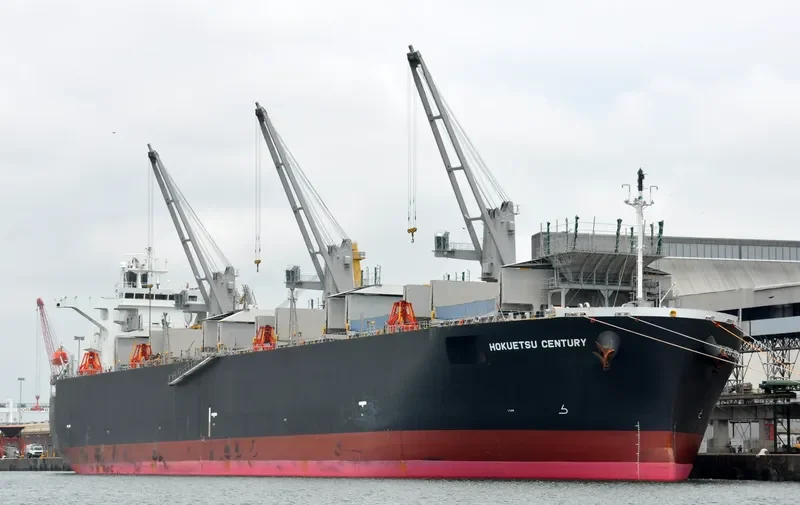 HOKUETSU CENTURY Bulk Carrier IMO 9343560 photo 2