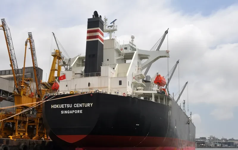 HOKUETSU CENTURY Bulk Carrier IMO 9343560 photo 3