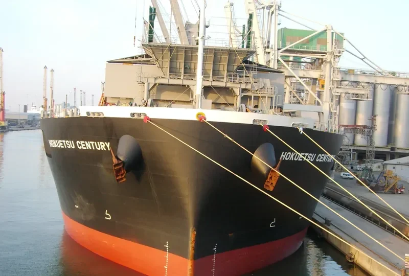 HOKUETSU CENTURY Bulk Carrier IMO 9343560 photo 4