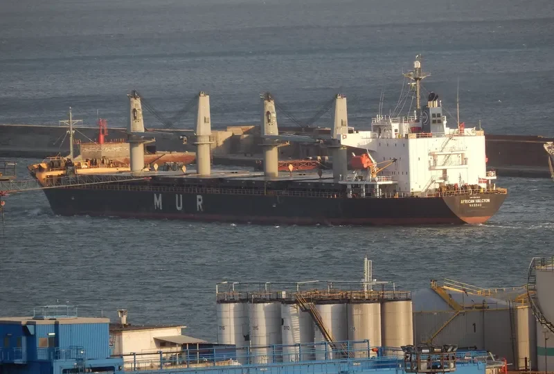 AFRICAN HALCYON General Cargo IMO 9343613