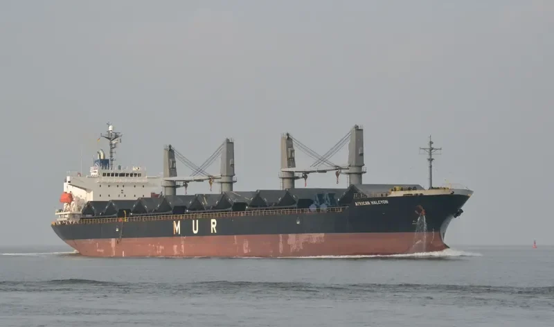 AFRICAN HALCYON General Cargo IMO 9343613 photo 4