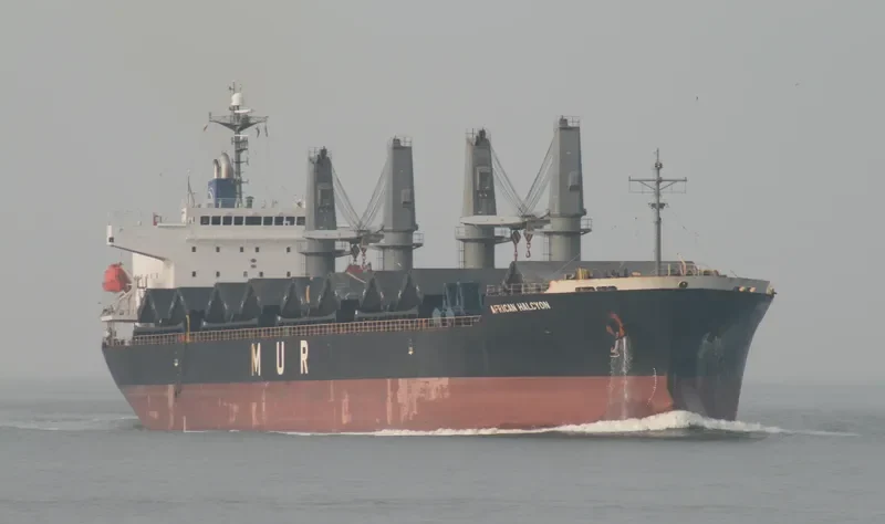 AFRICAN HALCYON General Cargo IMO 9343613 photo 5