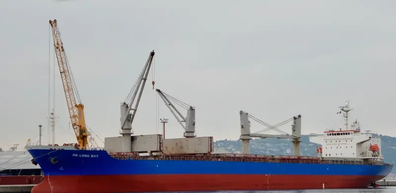HA LONG BAY General Cargo IMO 9343625 photo 9