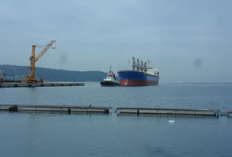 HA LONG BAY General Cargo IMO 9343625 photo 10