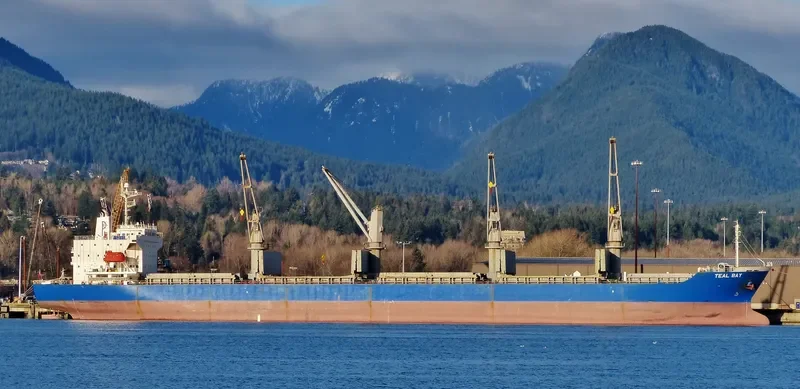 TEAL BAY General Cargo IMO 9343637 photo 10