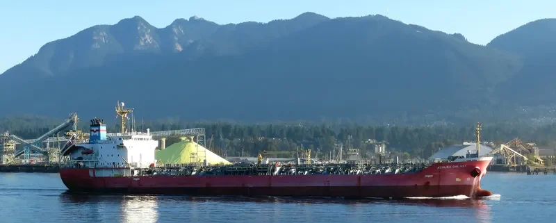 AZALEA GALAXY Tanker IMO 9343778