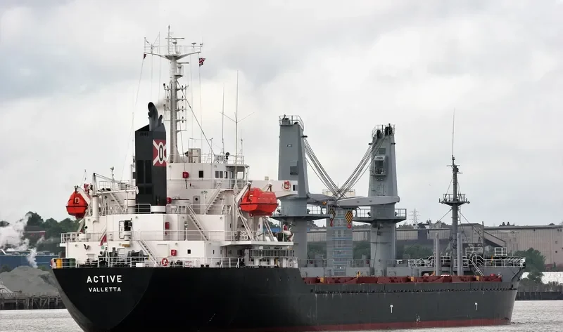 ACTIVE Bulk Carrier IMO 9343821