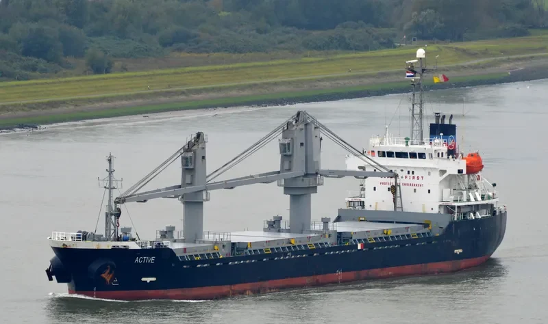 ACTIVE Bulk Carrier IMO 9343821 photo 2