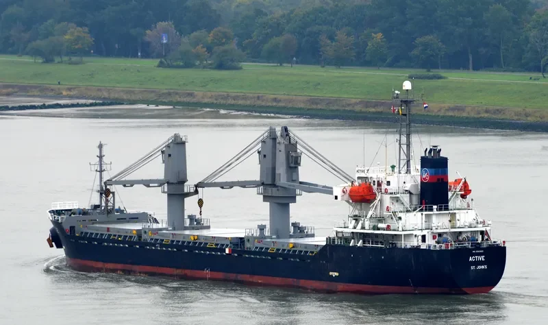 ACTIVE Bulk Carrier IMO 9343821 photo 3