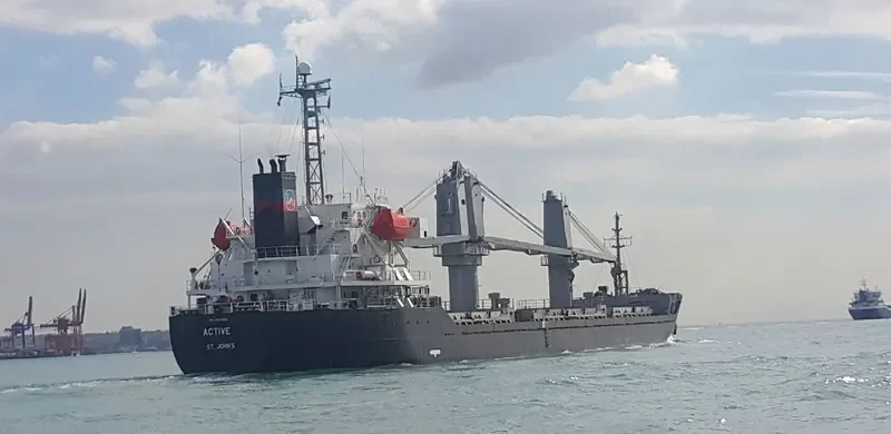 ACTIVE Bulk Carrier IMO 9343821 photo 4