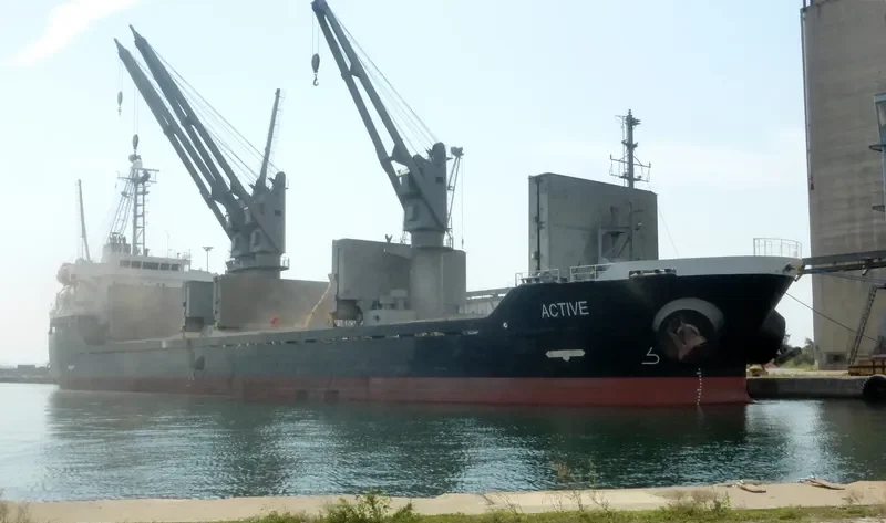 ACTIVE Bulk Carrier IMO 9343821 photo 7