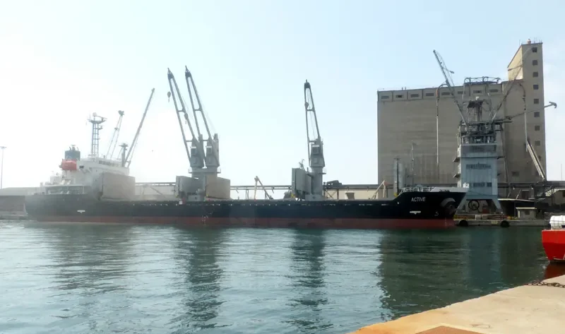 ACTIVE Bulk Carrier IMO 9343821 photo 8