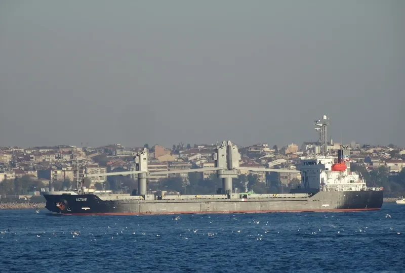 ACTIVE Bulk Carrier IMO 9343821 photo 9