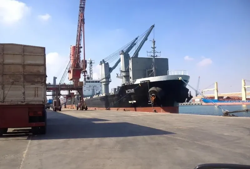 ACTIVE Bulk Carrier IMO 9343821 photo 10