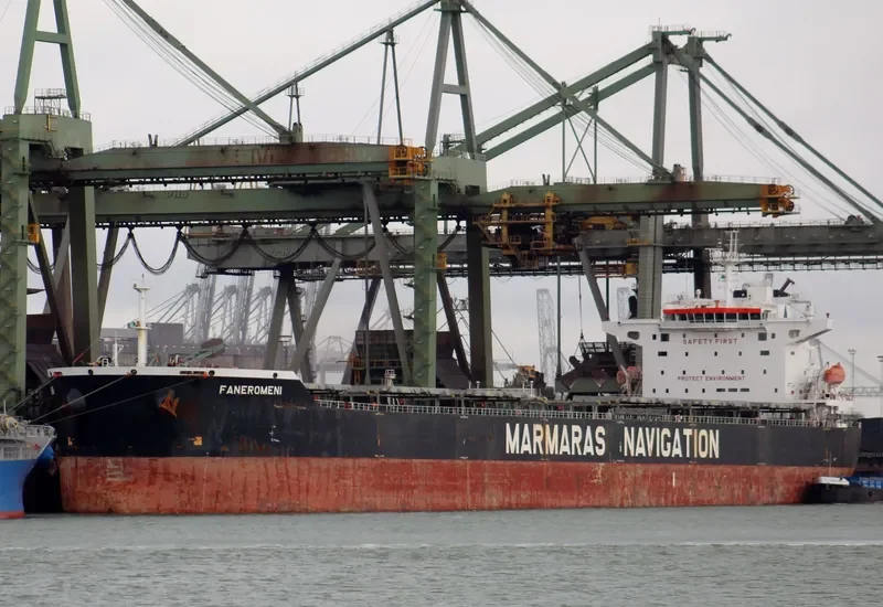 FANEROMENI Bulk Carrier IMO 9343857 photo 2