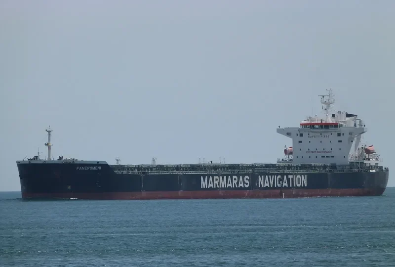FANEROMENI Bulk Carrier IMO 9343857 photo 8