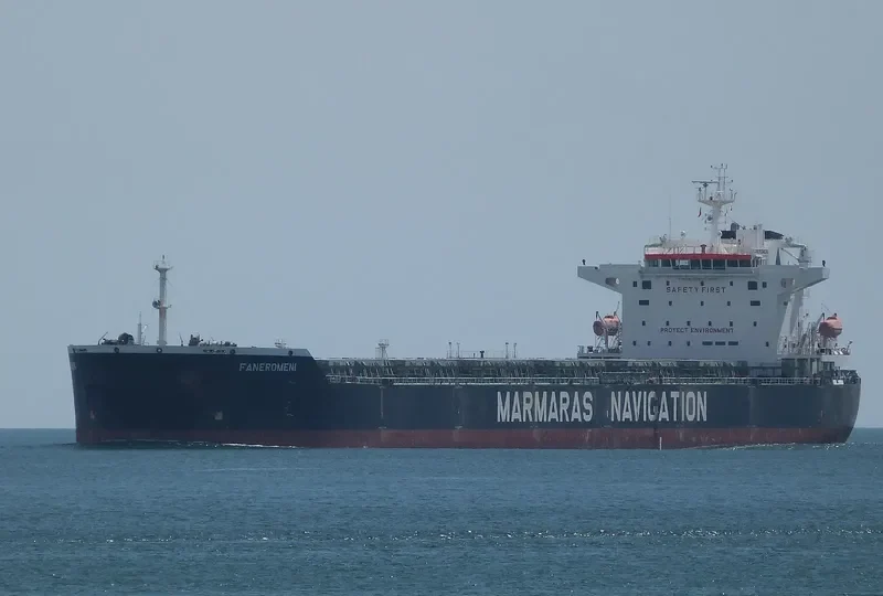 FANEROMENI Bulk Carrier IMO 9343857 photo 9