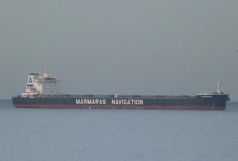 FANEROMENI Bulk Carrier IMO 9343857 photo 10