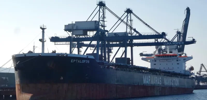 EPTALOFOS Bulk Carrier IMO 9343869 photo 10