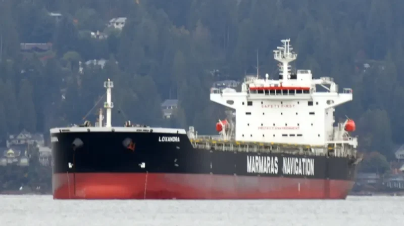 LOXANDRA Bulk Carrier IMO 9343871 photo 3