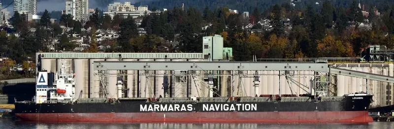 LOXANDRA Bulk Carrier IMO 9343871 photo 4