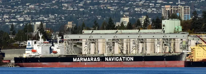 LOXANDRA Bulk Carrier IMO 9343871 photo 5