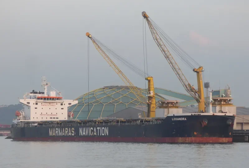 LOXANDRA Bulk Carrier IMO 9343871 photo 10