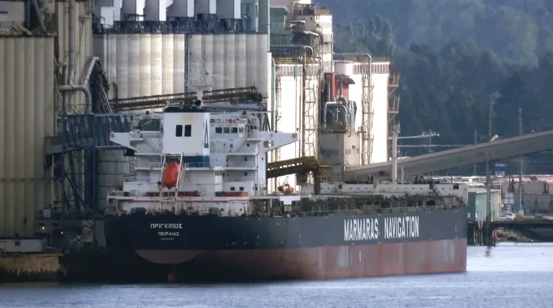 PRIGIPOS Bulk Carrier IMO 9343883 photo 4