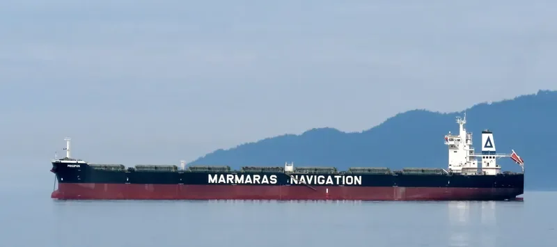 PRIGIPOS Bulk Carrier IMO 9343883 photo 5