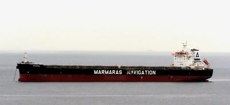 PRIGIPOS Bulk Carrier IMO 9343883 photo 6